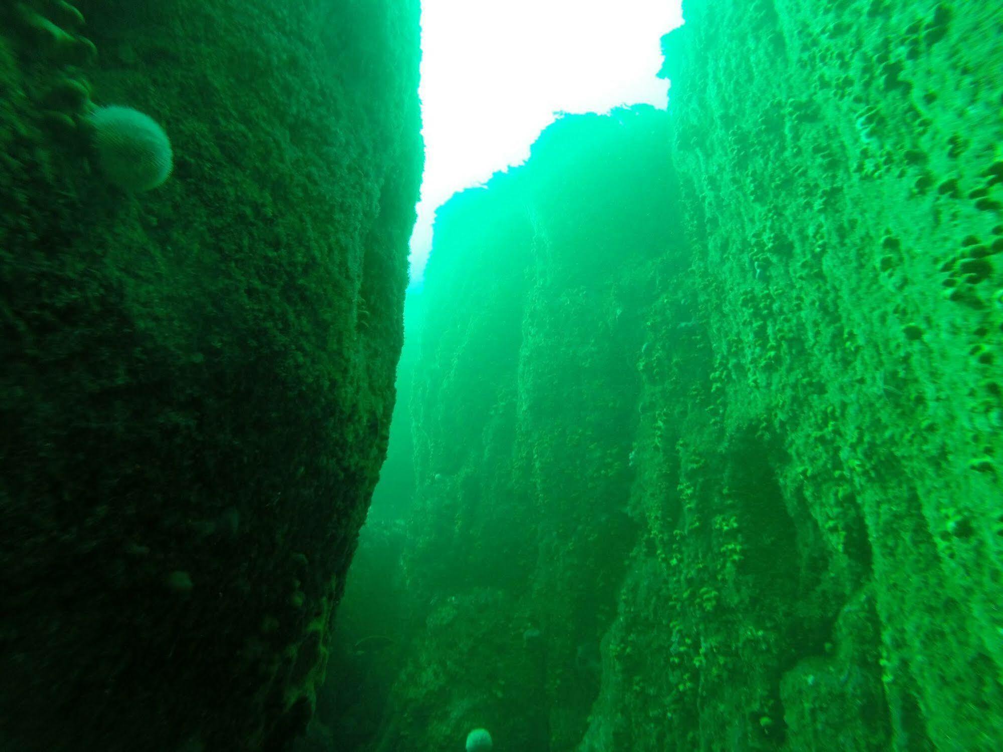 Myles Creek Kilkee Exterior foto